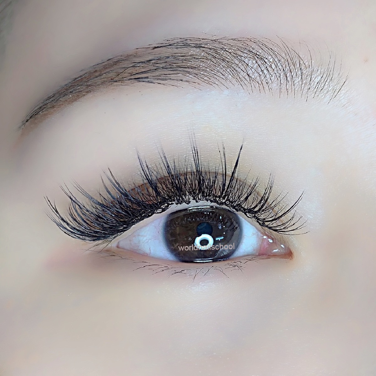 Hướng dẫn nối mi Katun